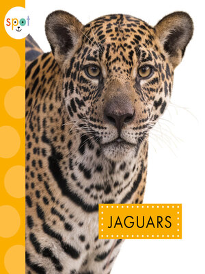 cover image of Jaguars